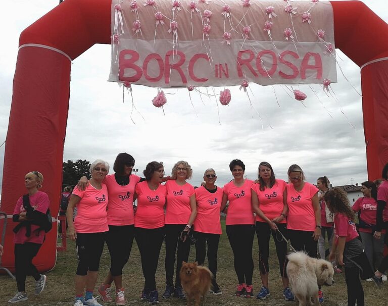 Borc in Rosa