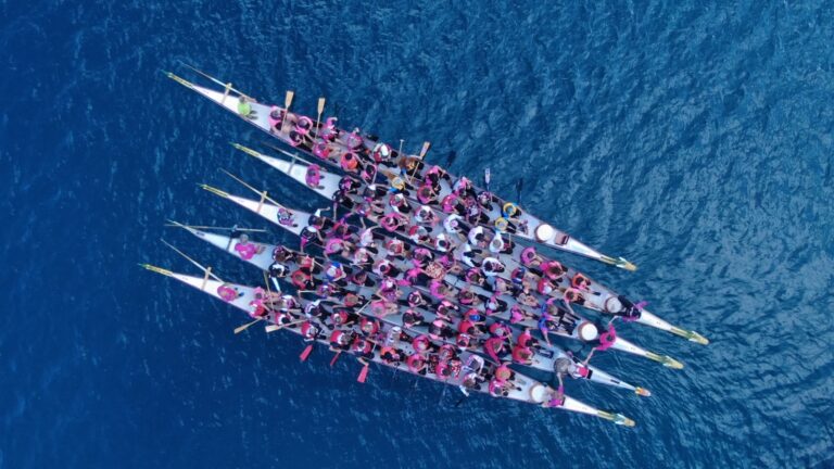 Pink Butterfly Dragon Boat Festival